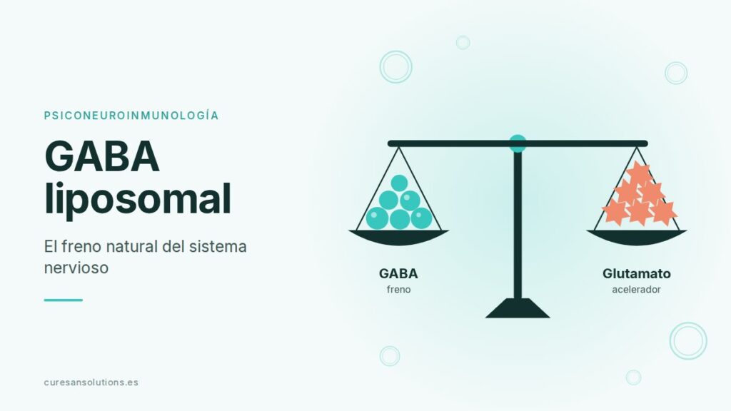 Esquema del equilibrio entre GABA y glutamato en el sistema nervioso.