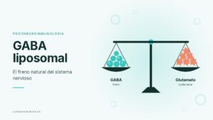 Esquema del equilibrio entre GABA y glutamato en el sistema nervioso.